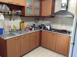 Carissa Park Condominium (D17), Condominium #566021321